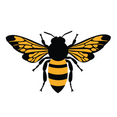 bee vector illustration