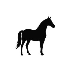 silhouette of a horse