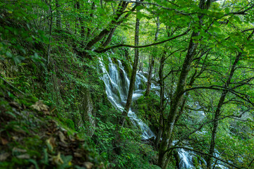 Beauty in nature, amazing waterfall in forest. Waterfall and pond. Panoramic beautiful deep forest waterfall. Beautiful view to waterfalls with green forest. The tranquil waters of waterfall cascade.