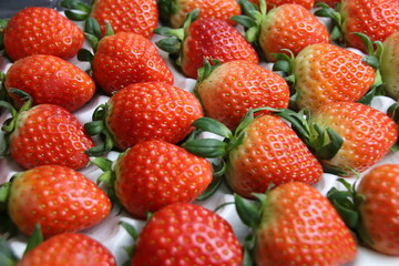 strawberry