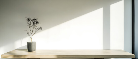 Elegant minimalistic decor featuring a simple plant in a pot atop a wooden table