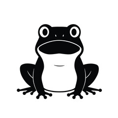 frog on a white background