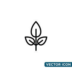 Minimalist Leaf Icon Design Template 