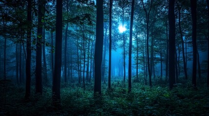 Fototapeta premium Enchanting Moonlight in a Misty Forest at Night