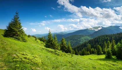 Fototapeta premium hillside of mountain range with coniferous forest and grassy meadow blue sky with cloud sunny day in spring trees on the green hill