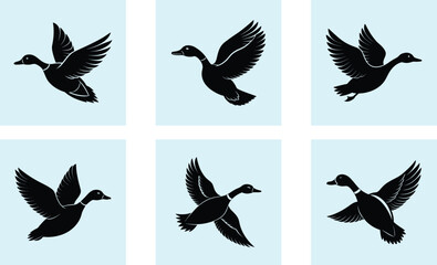 Obraz premium Flying Duck Silhouette vector