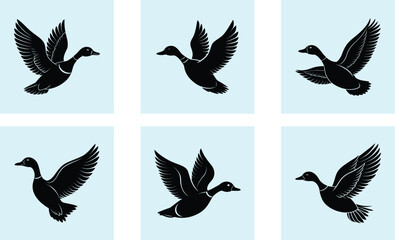 Obraz premium Flying Duck Silhouette vector