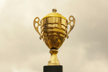 Winner champions golden trophy. Large size image