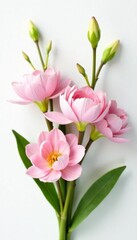 Fototapeta premium Elegant bouquet of pastel spring flowers in soft pinks and greens on a white background, spring, bouquet