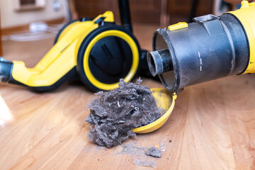 Dirt and hair in a home vacuum cleaner
