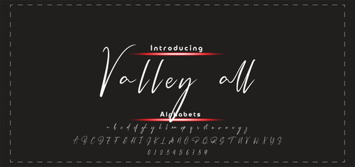 signature Font Calligraphy Logotype Script Brush Font Type Font lettering handwritten