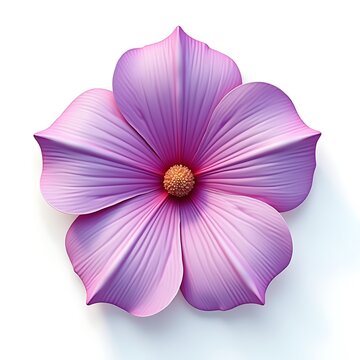 3D Malati isolated on a white background