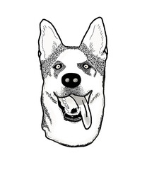 Perro siberiano dibujo cabeza