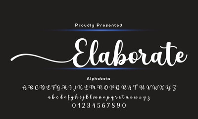 signature Font Calligraphy Logotype Script Brush Font Type Font lettering handwritten