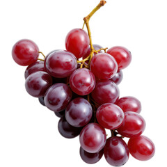 Fototapeta premium Fresh Red Grapes