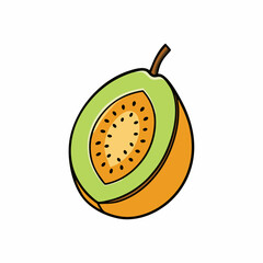 vector illustration of an Bael fruit