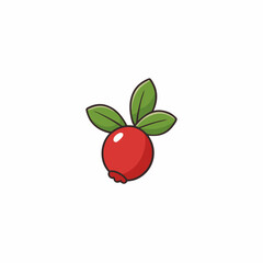 vector illustration of a buffaloberry