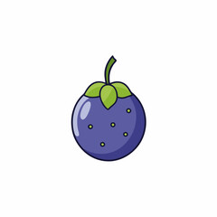 vector illustration of a jabuticaba fruit