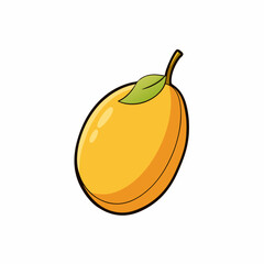 lucuma fruit vector