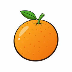 orange fruit vector illustration