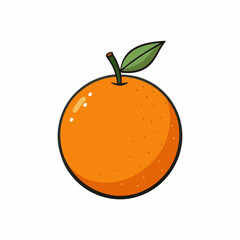 orange fruit vector illustration