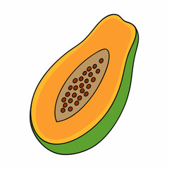 vector illustration of a papaya