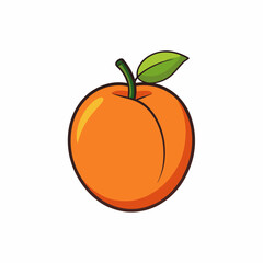 peach fruit isolated on white