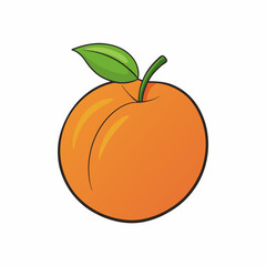 peach fruit isolated on white