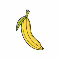 plantain vector illustration