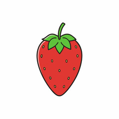 strawberry on white background