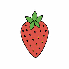 strawberry on white background