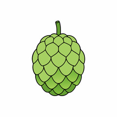 sugar apple isolated on white