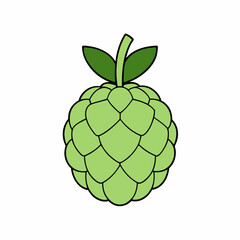 sugar apple isolated on white