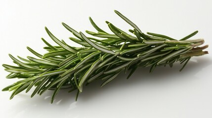 Fototapeta premium Fresh Rosemary Sprig Culinary Herb Aromatic Plant Cooking Ingredient High Resolution
