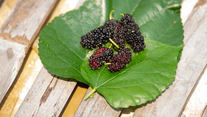 Mulberry fruits with leaves on wooden table,