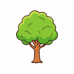 ash tree with green leaves