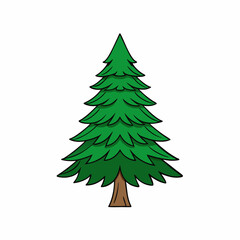 cedar tree vector illustration