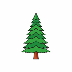 cedar tree vector illustration