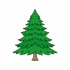 hemlock tree vector illustration
