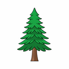 hemlock tree vector illustration