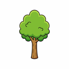 kauri tree vector illustration