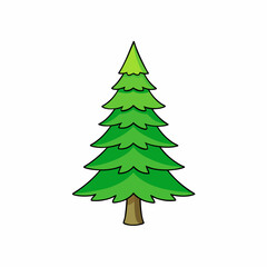 pine tree vector illustration
