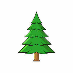 pine tree vector illustration