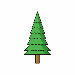 pine tree vector illustration
