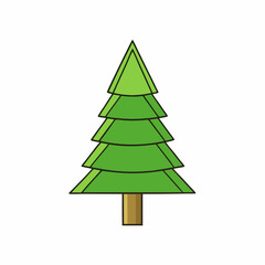 pine tree vector illustration