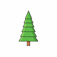 yew tree isolated on white