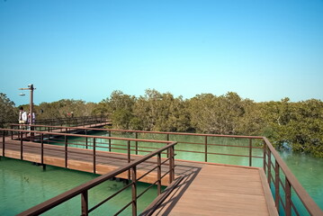 Abu Dhabi, United Arab Emirates &ndash; March 02, 2025, the view of the Jubail Mangrove Parks the first self-contained educational, nature and leisure destination