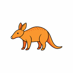 aardvark isolated on white