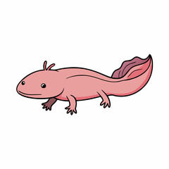axolotl isolated on white