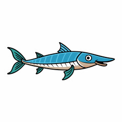 barracuda fish isolated on white background